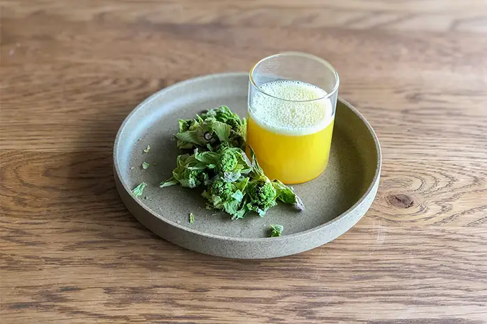 農家さんの八朔と蕗の薹