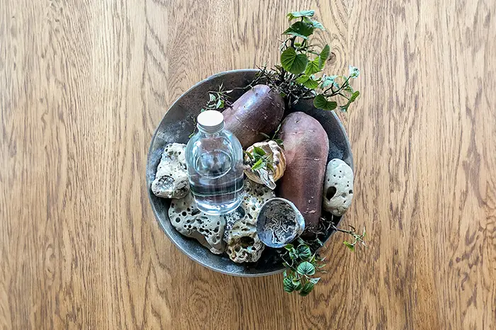 これは芋焼酎なのか？