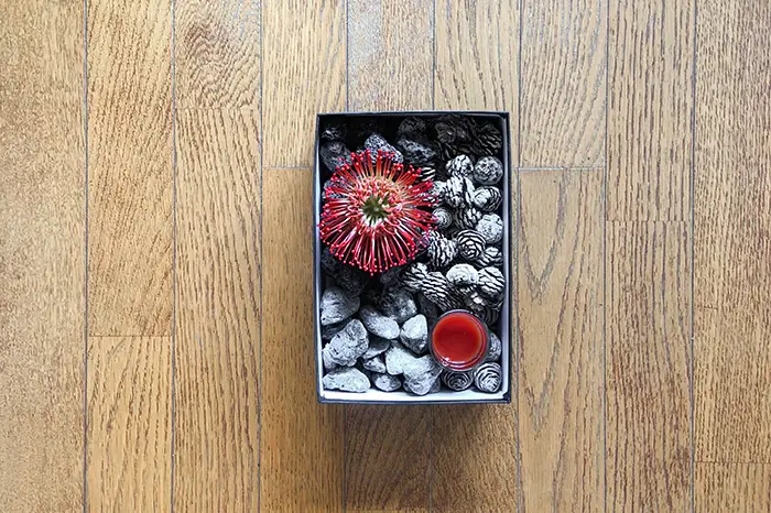 ピンクッション