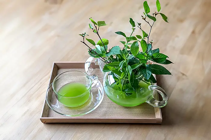 グリーン・ヒソップ