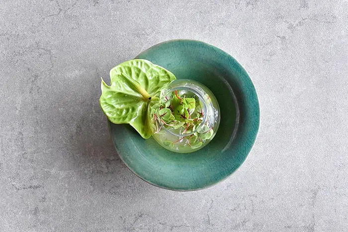 アンスリウムの肉質化